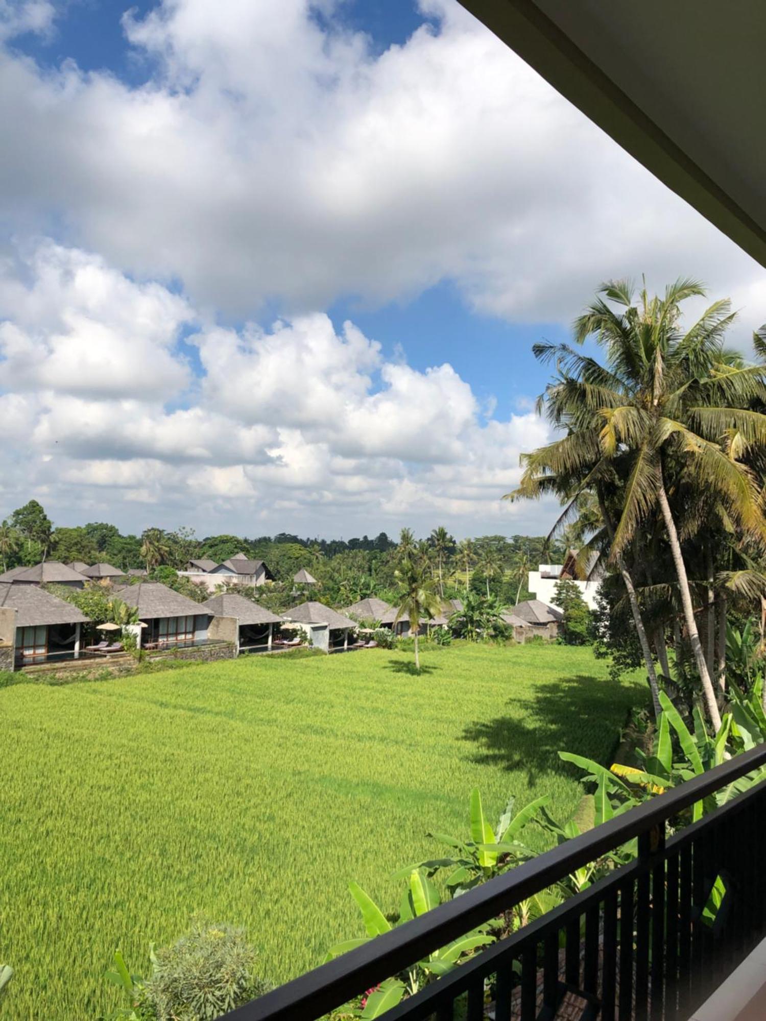 Mira Family Cottages Ubud Eksteriør billede