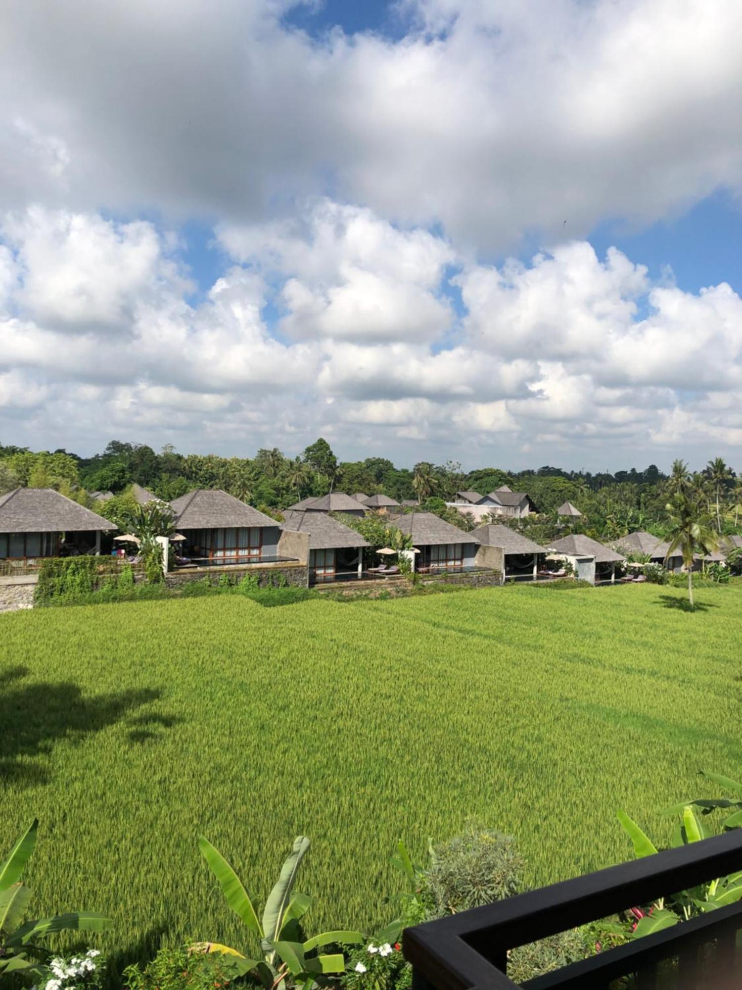 Mira Family Cottages Ubud Eksteriør billede
